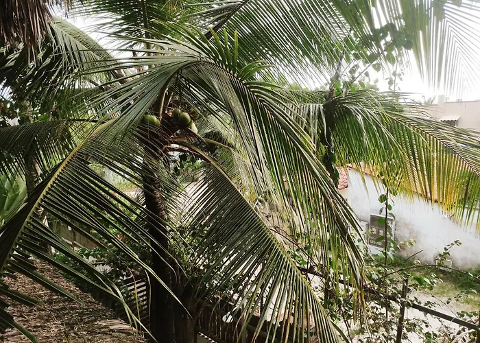 Hotel que aceita animais de estimação: Pousada Tropical Brasil Jeri